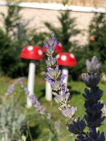 Apartamento S�ra Vend�gh�z