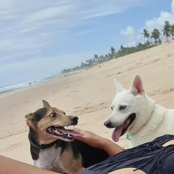 Hostal Ecocasa Rio Sau�pe