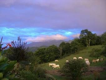 Gites Vall�e D'ossau - Les Jardins Du Cot