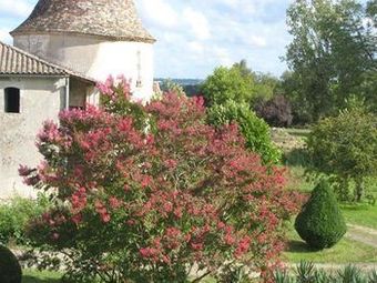 Bed & Breakfast Chateau De Puyrigaud