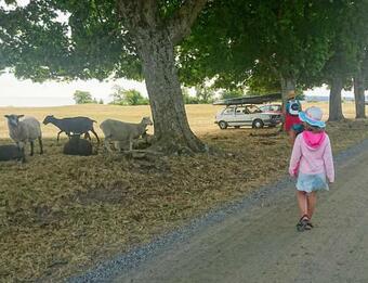 Br�sarp K�llag�rden Vedboden