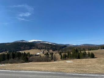 Oli Apartmens Telg�rt