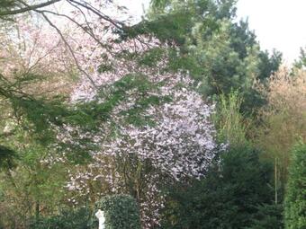 Apartamento Ferienwohnug Prey