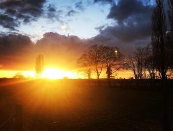Thrush Nest Cottages - Wren & Stable