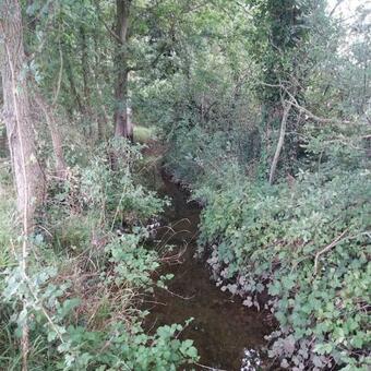 A Small Place In A Big Space..countryside Location