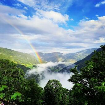 Apartamento Zirbennest