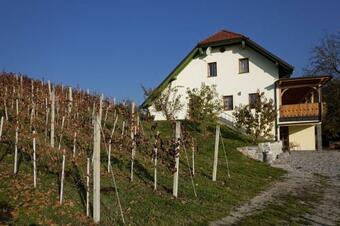 Apartamento Vineyard Cottage Majzelj