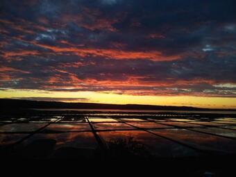 Villa Saline Apartments Portoro?