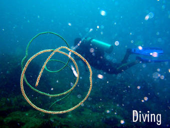 Hotel Thapwarin Resort