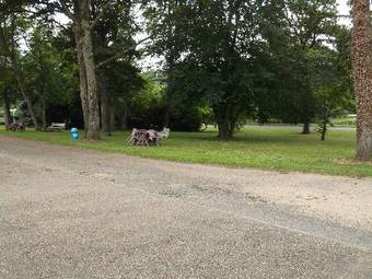 Hotel Motel Les Broussailles