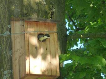 Bed & Breakfast Les Charmilles