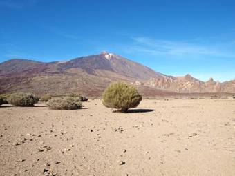 Apartamentos Isla De Oro