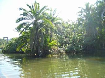 Apartamento Hibberdene Hideout