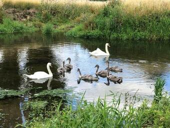 Bed & Breakfast Marston Hall