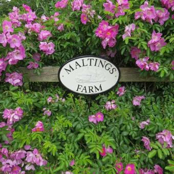 Bed & Breakfast Maltings Loft