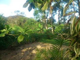 Bed & Breakfast Aurora Holiday Bungalow