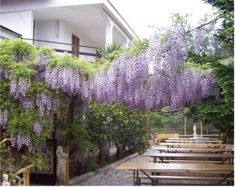 Agroturismo Shangri-la