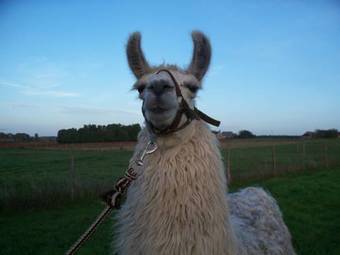 Bed & Breakfast Le Pre Karvain