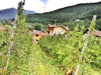 Agroturismo Agritur Il Tempo Delle Mele