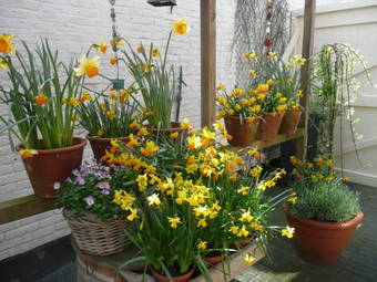 B&B "de Overnachting"