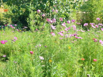 Bed & Breakfast Chambres D'h�tes Les 7 Semaines