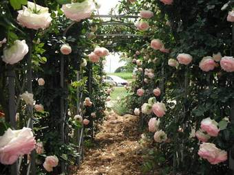 Bed & Breakfast Au Pichet