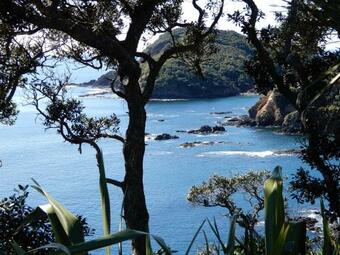 Bed & Breakfast The Lighthouse Lookout