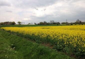 Marlborough House Forge