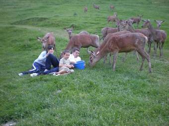 Hotel Venta De Ulzama