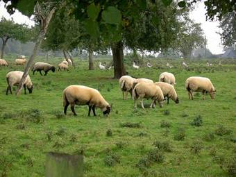 Bed & Breakfast Chambres D'h�tes Les Vall�es