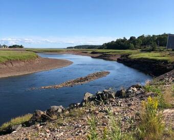 Bed & Breakfast Pleasant Street Inn