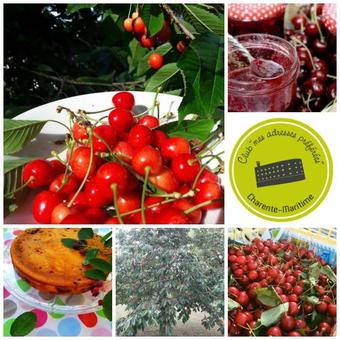 Bed & Breakfast La Clef Des Champs