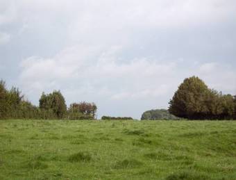 Bed & Breakfast The Grange