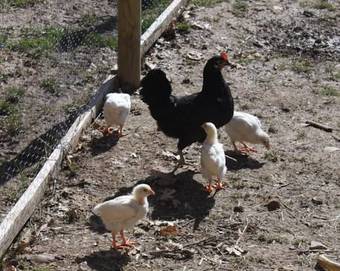 Agroturismo Eco Urbion