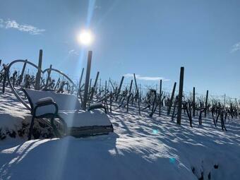 Apartamento Weinberg Chalet Kl�ch