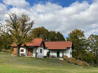 Kellerst�ckl Postrumer Weinberg 48