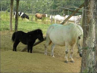 Agroturismo Cascina Beneficio
