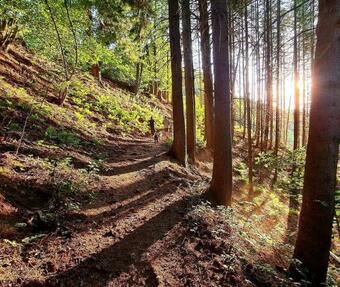 Apartamento Au Studio 339 Des Terrasses De Malmedy