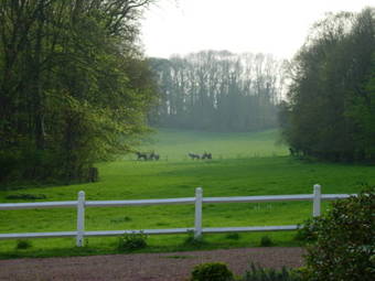 Bed & Breakfast Domaine De Vadancourt