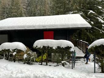 Charmant Chalet Immerg� Dans La Nature