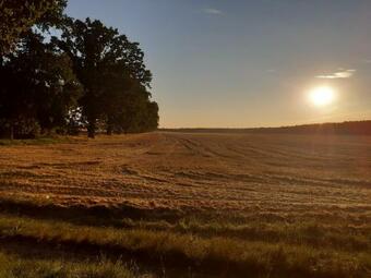 Apartamento Bauernst�bchen