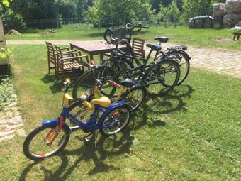 Apartamento Exklusive Ferienwohnungen Im Gutshaus Viezen