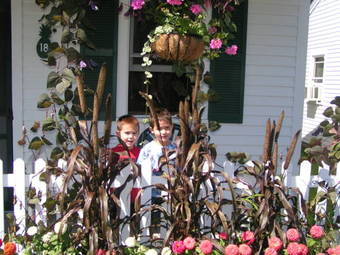 Motel Wills Inn - Bartlett