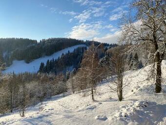 Apartm�ny Nad ?likovkou