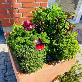 Apartment Med Udsigt Over Nordmors