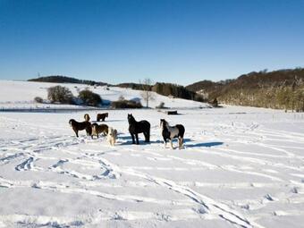 Apartamento Homann Sauerland