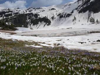 Hotel Albergo Al Tempo Perduto
