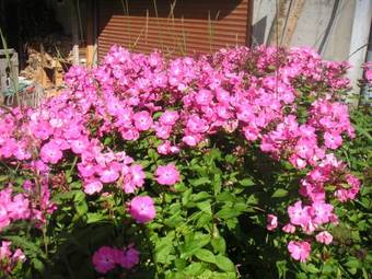 Apartamento La Desti�re