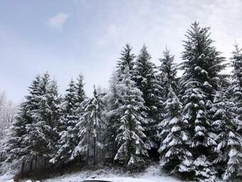 Holiday House On The Riverside