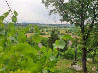 Holiday Home Dra?kica